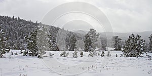Winter landscape in the Rocky Mountains