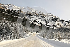 Winter Landscape, Rocky Mountains, Alberta, Canada