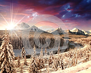 Winter Landscape, Rocky Mountains, Alberta, Canada photo