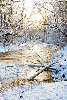 Winter landscape