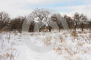 Winter landscape in rural area