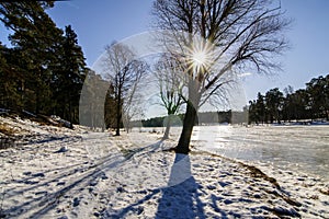 Winter landscape in Russia.