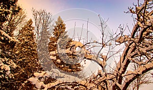 Winter landscape of the Russian province.Sergiev Posad