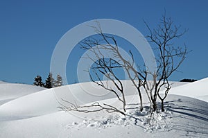Winter Landscape at San Pellegrino pass, Dolomites, Italy.