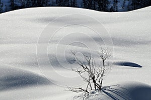 Winter Landscape at San Pellegrino pass, Dolomites, Italy.