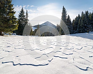 Winter landscape with sastrugi after a snowstorm