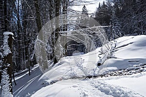 Winter landscape between Saua Baiului and Gura Diham cottage.