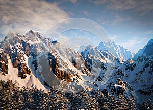 Winter landscape scene background