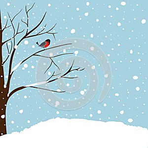 Winter Landscape Scene. Christmas New Year Greeting Card. Forest Falling Snow Red Capped Robin Bird Sitting on Tree. Blue Sky