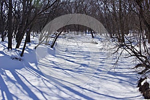 Winter landscape scene of a frozen rural river bed