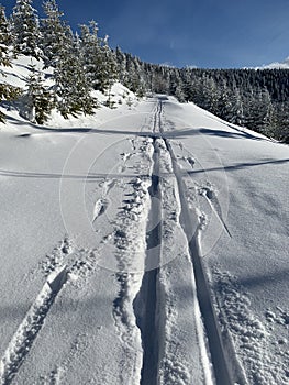 Winter landscape scenery with cross country skiing way