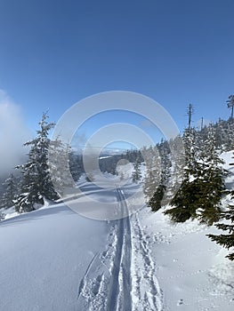 Winter landscape scenery with cross country skiing way