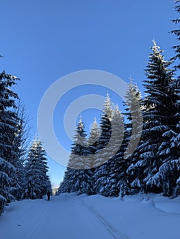 Winter landscape scenery with cross country skiing way