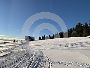 Winter landscape scenery with cross country skiing way