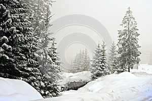 Winter landscape scenery with flat county and woods