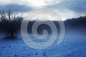 Winter landscape scenery italian countryside