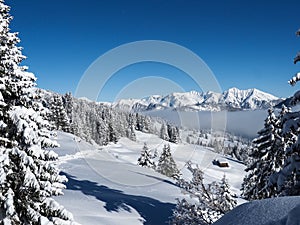 Winter landscape of the Schamserberg and Piz Beverin nature park