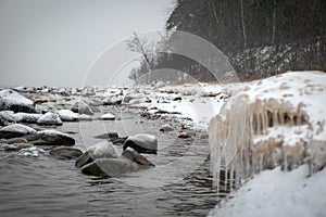 Winter landscape from the sea shore, winter by the sea, white snow covering the beach, falling snow in the background, bare trees