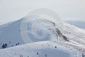 Winter Landscape Of Serbia Mountain Zlatibor Snow-covered Valley. The Background Of Snow