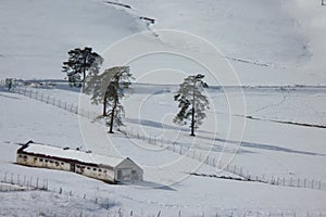 Winter Landscape Of Serbia Mountain Zlatibor Snow-covered Valley. The Background Of Snow photo