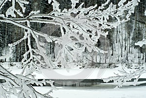 Winter landscape on the shore of a nearly frozen river visible through the icy branches of a tree in the foreground