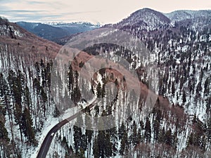 Winter landscape shot of a forest in a valley and a road