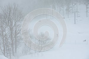 Heavy snow downpour in Hokkaido, Japan photo