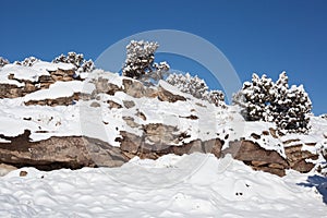 Snowy Rocky Hill with Junipers photo