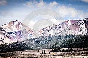 Winter Landscape - Sierra Madre Mountains photo