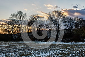 Winter landscape with silhouette of trees at sunset, dramatic sky