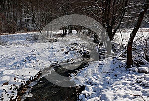 Winter landscape, small clean river flowing near frozen woods