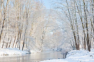 Winter landscape: small river in a snowy woods.