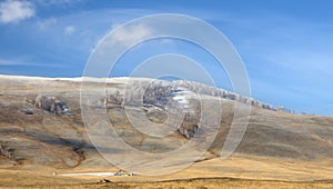 Winter landscape with a smooth hill covered with a yellow dry grass, bare trees and first snow under dark blue sky