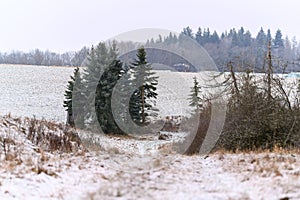 Winter landscape with snow. A beautiful winter landscape and nature