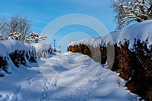 Winter landscape photo