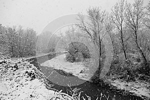 Winter landscape with snow coming down and a river in the middle of trees covered by snow