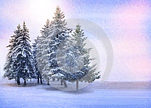 Winter landscape.Snow-covered Christmas trees in the mountains. Winter forest. Christmas night. Snowfall, blizzard.Colorful winter
