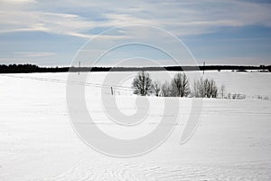 Winter landscape. Snow-covered field and forest on the horizon on a clear winter day. Nature of Russia in winter. White drifts