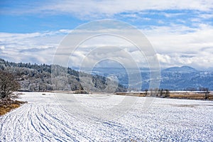 Winter landscape of snow-covered fields and hills with trees in Colombia River Gorge