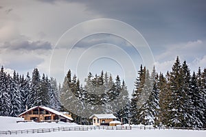 Winter landscape with snow-covered fir trees at a cottage