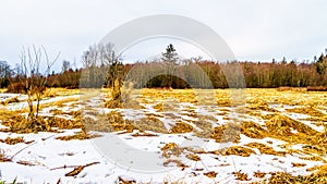 Winter landscape with snow covered grass fields in Campbell Valley Park