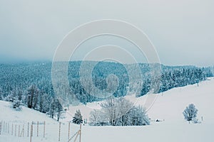 Winter landscape with snow covered hills and forest.