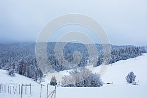 Winter landscape with snow covered hills and forest.
