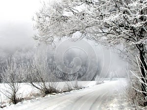 Winter landscape of a snow-covered mountain road flanked by icy trees.