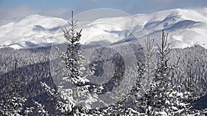 Winter Landscape. Snow Covered Mountains and Fir Trees, Ski Resort, Christmas Snowing in Alpine, Alps View