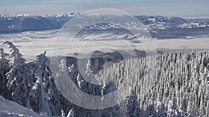 Winter landscape. Snow covered mountains and fir trees, ski resort, Christmas snowing in alpine, alps view