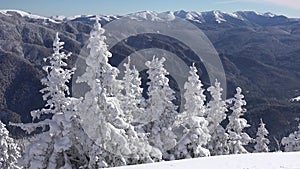 Winter landscape. Snow covered mountains and fir trees, ski resort, Christmas snowing in alpine, alps view