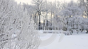 Winter landscape - a snow-covered park with beautiful trees, covered with hoarfrost.
