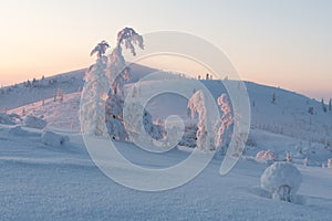 Winter landscape with snow-covered pink trees on top mountains