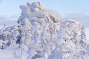 Winter landscape with snow covered rock cliff on slope. Coniferous forest after snowstorm. Wood in ice